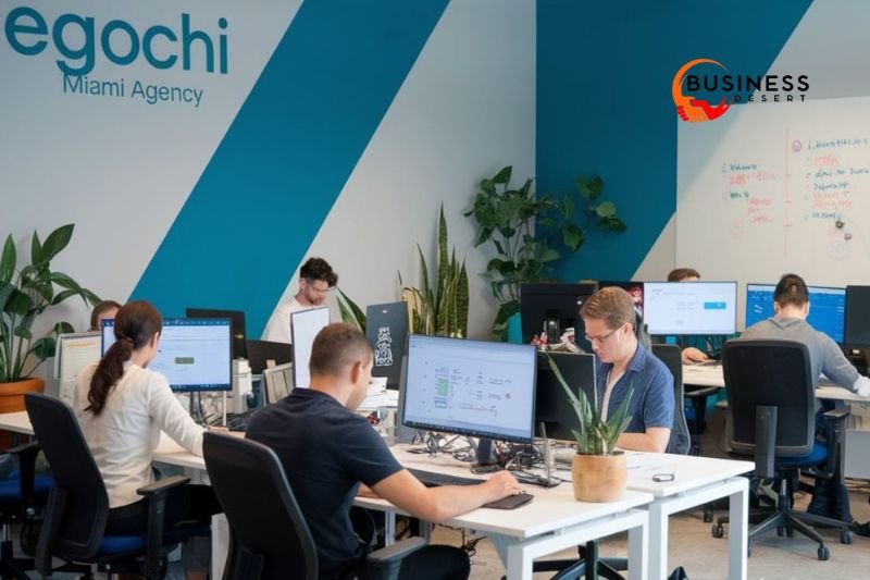 Egochi Miami SEO Agency